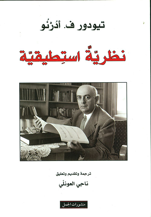 نظرية استطيقية